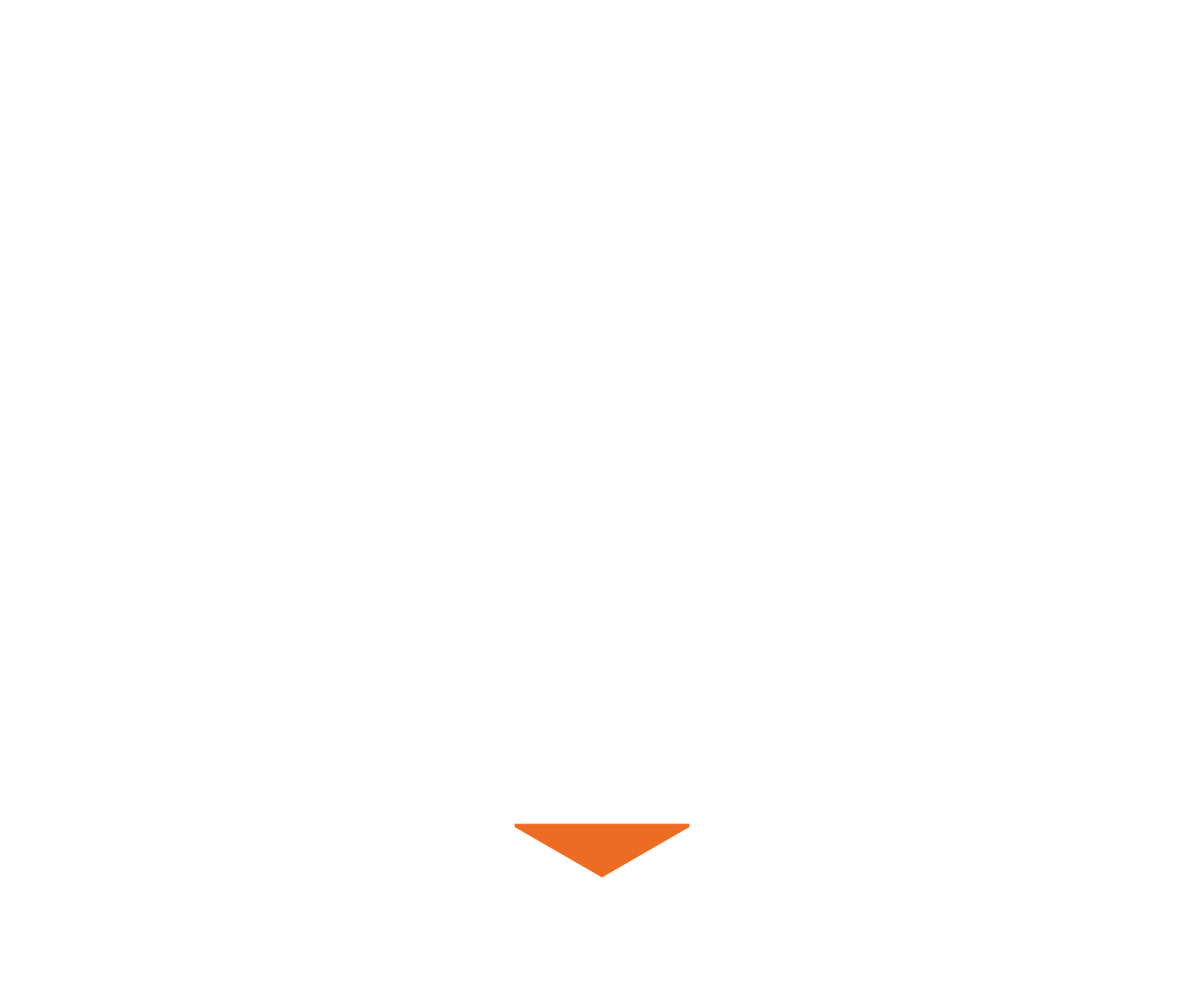 Rally Rep Logo White